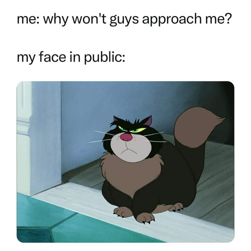 A funny Disney relationship meme using Lucifer from Cinderella to represent a grumpy public resting face.