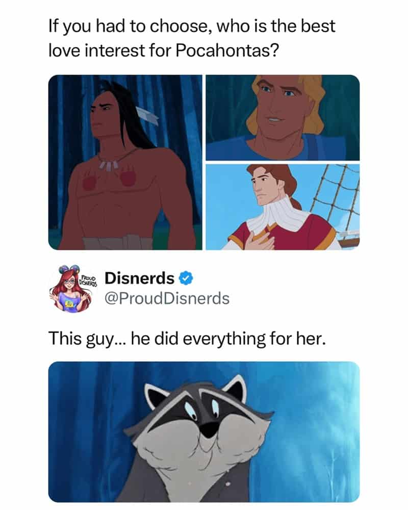 A Disney relationship meme suggesting Meeko the raccoon is the best love interest for Pocahontas.
