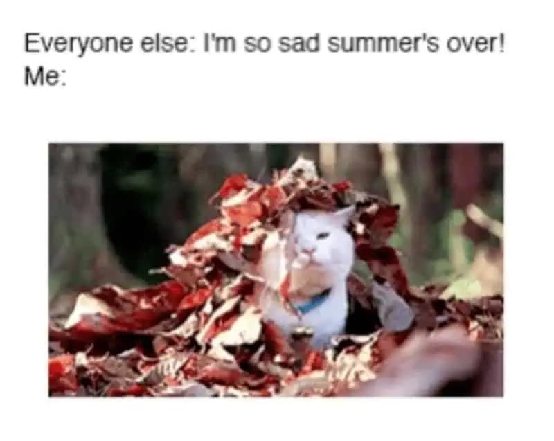 White cat happily buried in a pile of red and brown leaves; caption contrasts others mourning summer with “Me.”