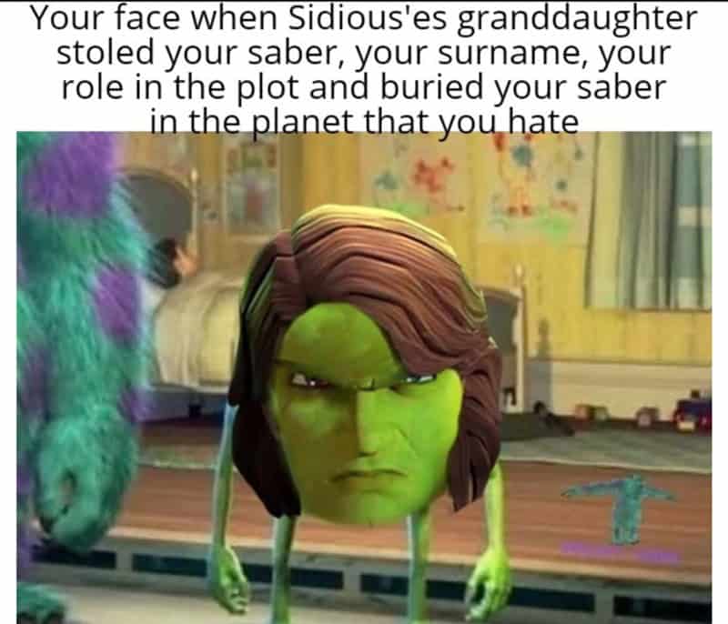 A funny Mike Wazowski reaction meme with Anakin's hair, complaining about Rey from the Star Wars sequels.