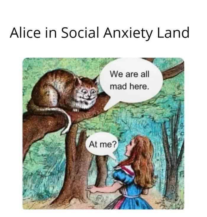 “Alice in Social Anxiety Land” edit; Cheshire Cat says “We are all mad here,” Alice replies “At me?”