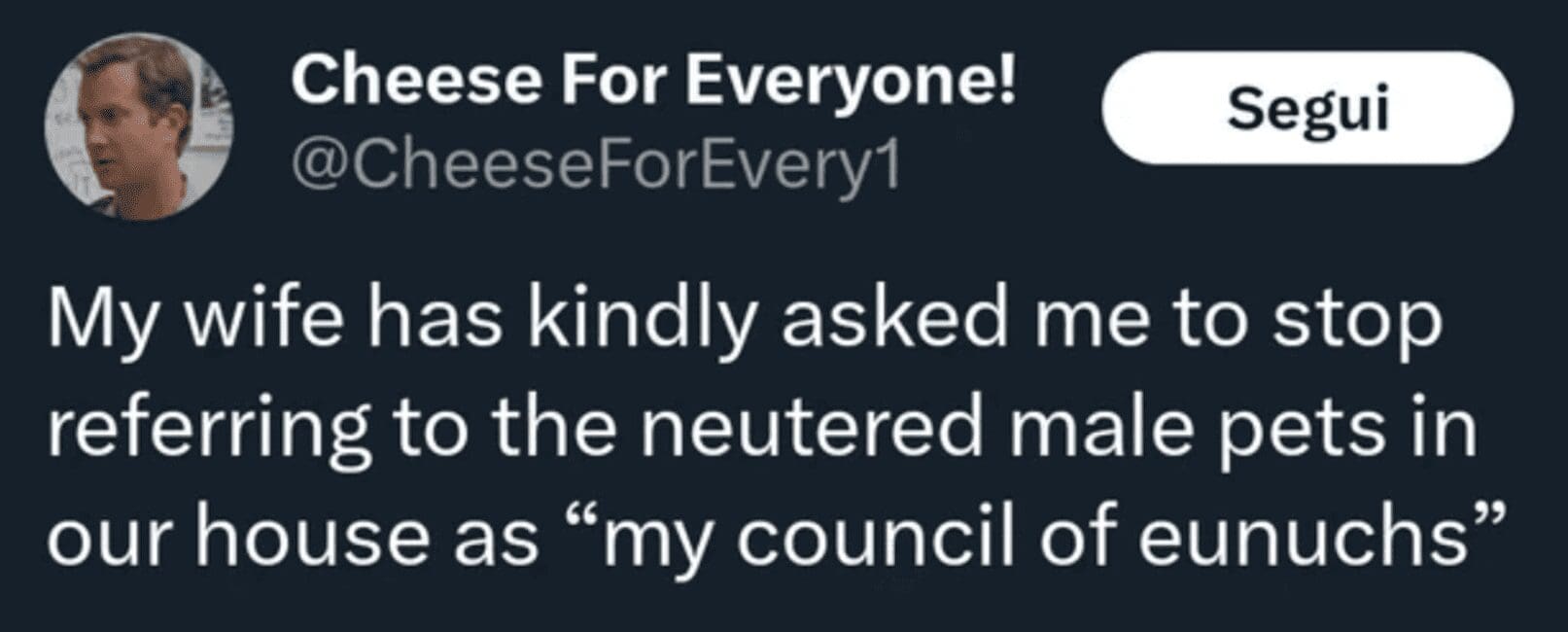 A funny brand new sentences tweet about a man calling his neutered male pets his "council of eunuchs."