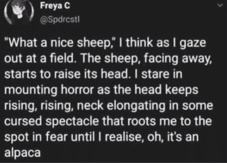 A brand new sentences tweet describing the horror of realizing a sheep is actually an alpaca.