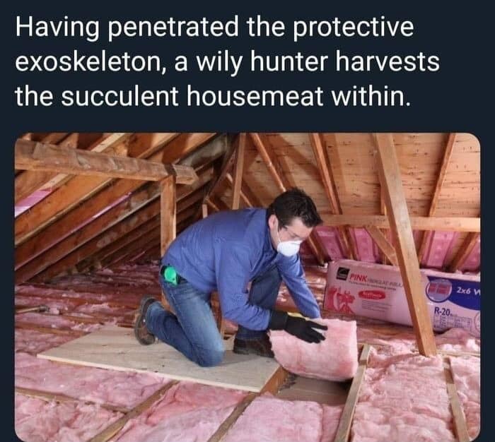 A classic meme describing installing pink insulation as harvesting "succulent housemeat."
