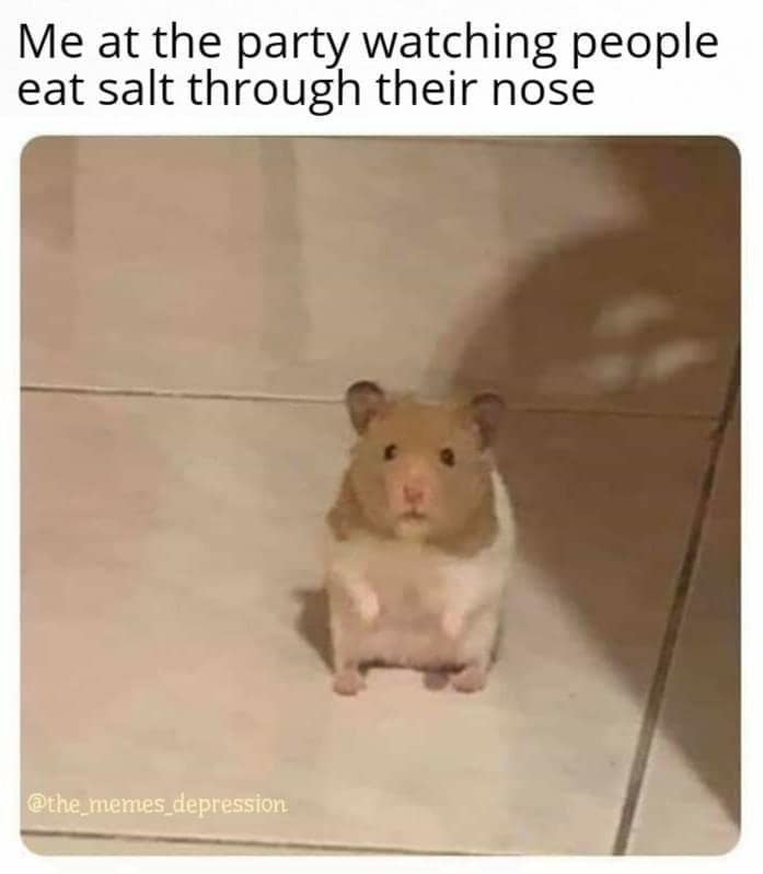 An old meme of a stunned hamster used to describe the feeling of watching bizarre behavior at a party
