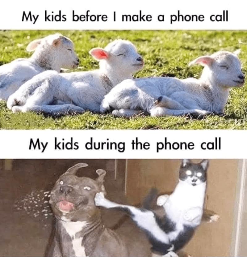 A classic meme comparing kids being calm before a phone call and chaotic during a phone call.