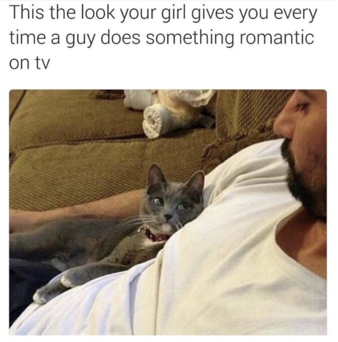 A classic meme of a cat giving a man a judgmental look, representing a girlfriend watching a romantic scene.