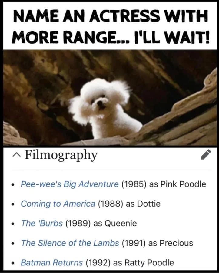 A classic meme challenging people to name an actress with more range than Darla, the poodle from "The Silence of the Lambs."