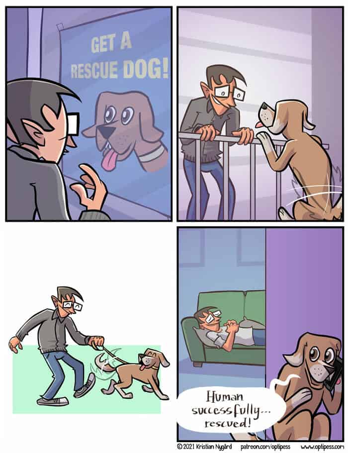 A wholesome and sweet four-panel comic where a lonely man thinks that he is rescuing a shelter dog, but the twist ending reveals that the dog was actually rescuing the human.