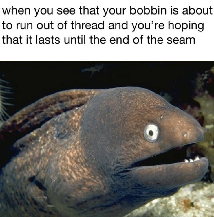 Wide-eyed eel underwater with caption about a bobbin running out of thread mid-seam