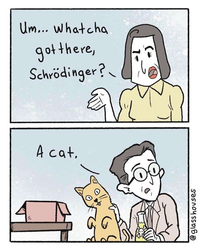 A dark humor comic making a very literal and funny joke about the Schrödinger's cat thought experiment