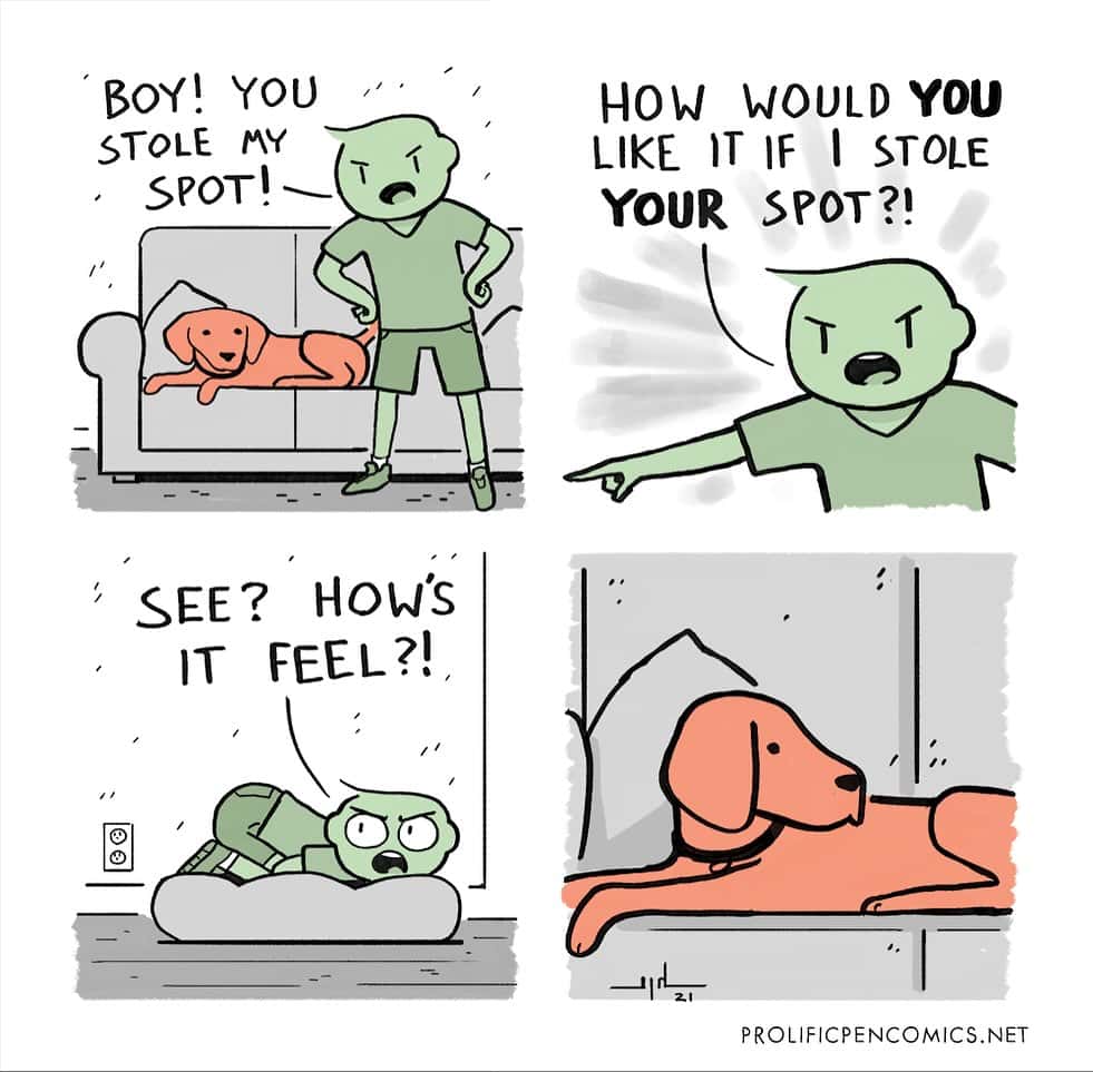 A funny dark humor comic by Yanni Davros where a man gets revenge on his dog by stealing its bed.