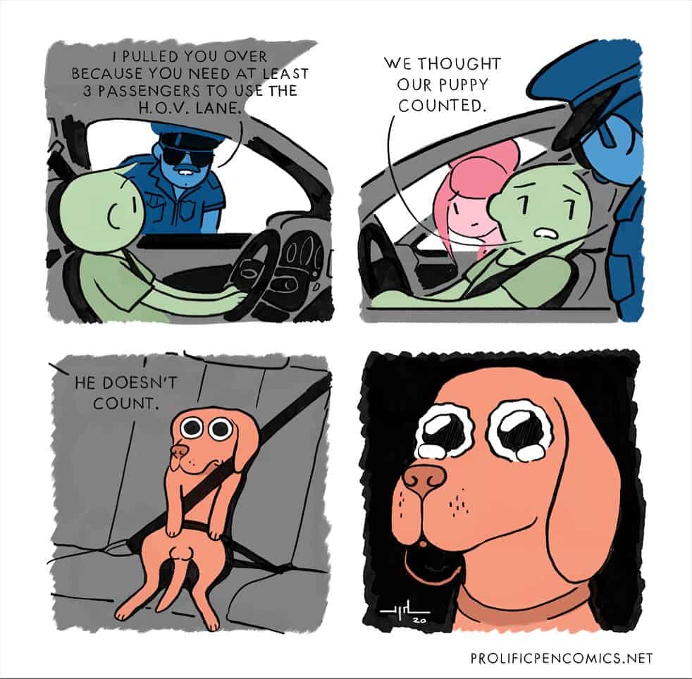 A Yanni Davros comic where a puppy in the HOV lane has an existential crisis after being told he doesn't count as a passenger.