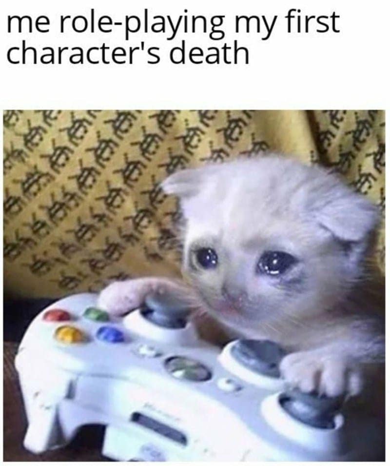 A Dnd meme of a sad, crying kitten with a controller, representing a player's first character death.