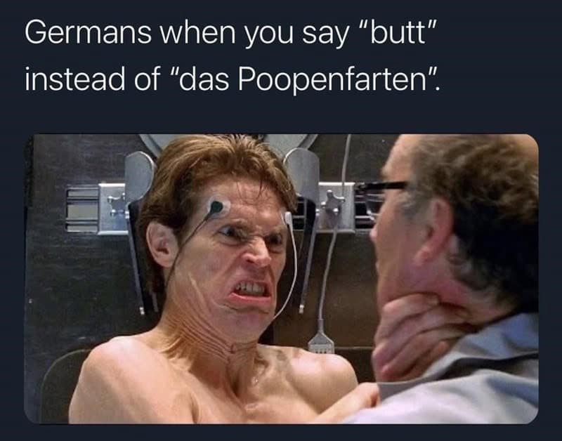 A funny meme joking that the proper German word for butt is "das Poopenfarten," with a picture of Willem Dafoe.