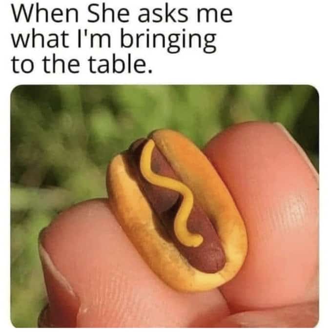 A funny food meme with a tiny, miniature hot dog, representing what someone "brings to the table."