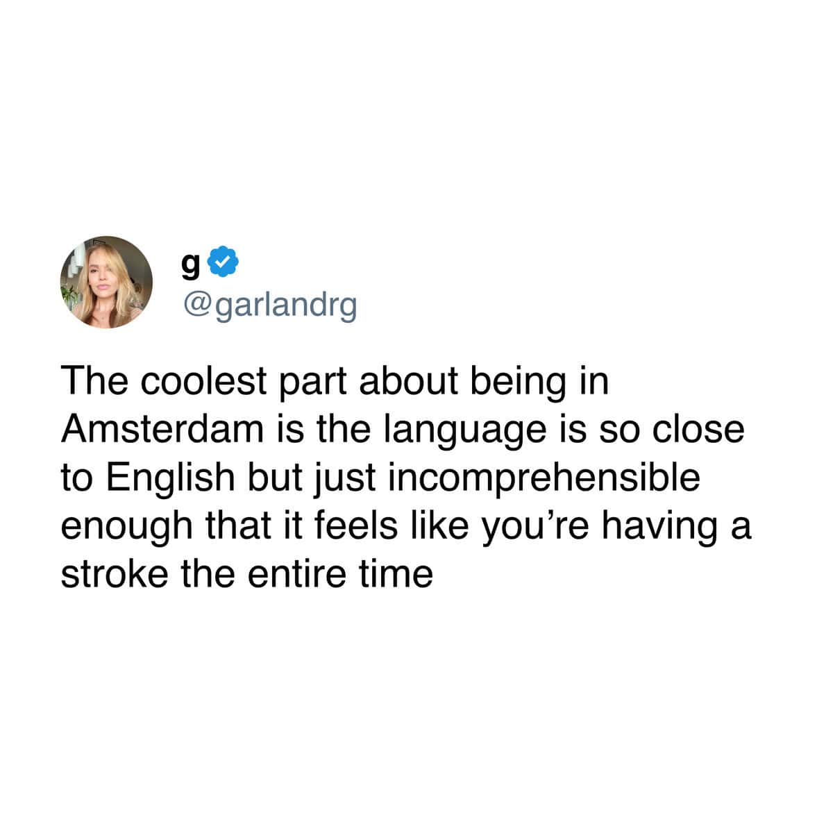 A funny tweet that accurately describes the Dutch language as being just close enough to English to feel like you're having a stroke.