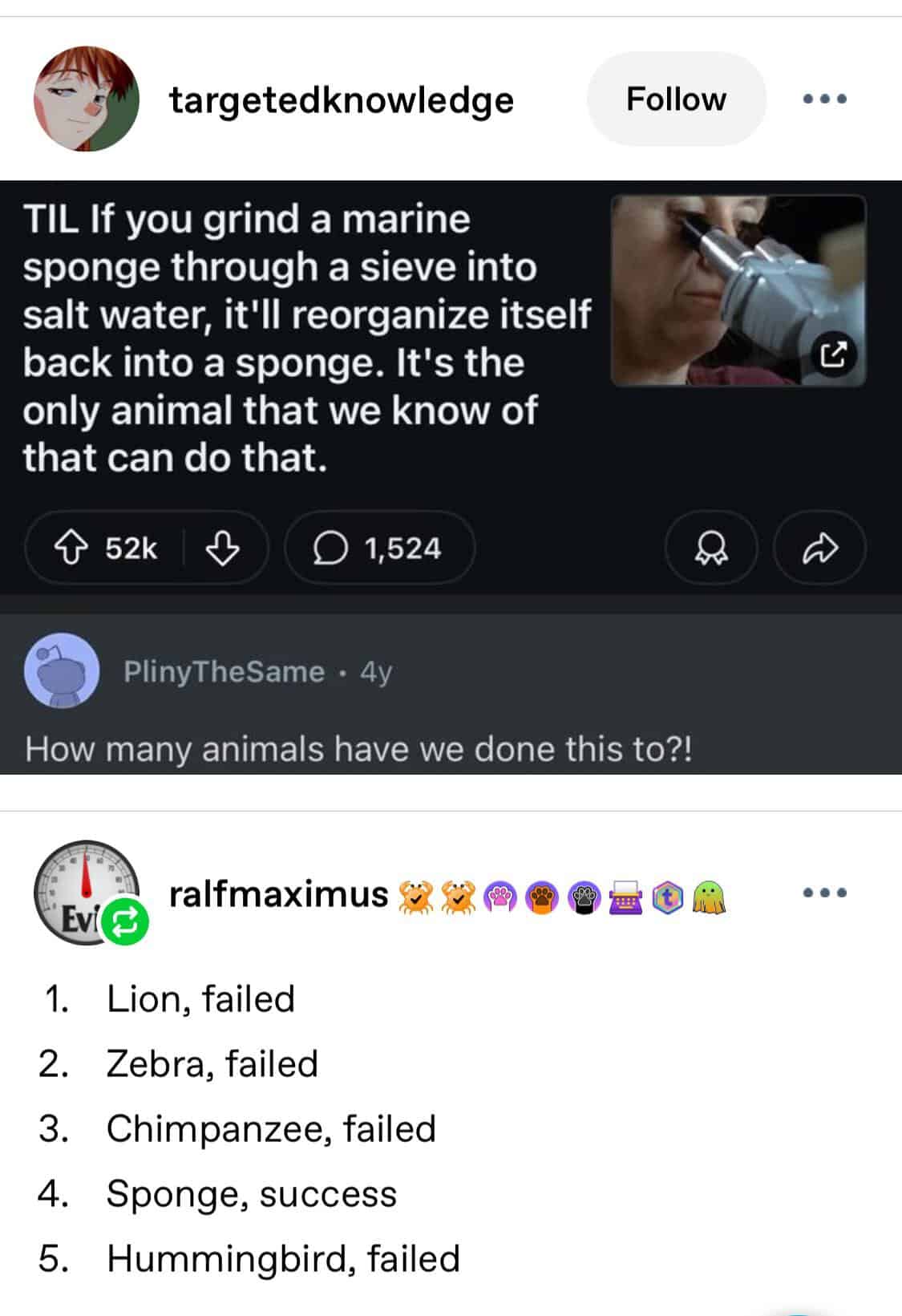 A classic and funny Tumblr thread that starts with a science fact about sponges regenerating and ends with a hilarious list of all the other animals that have failed the regeneration test.