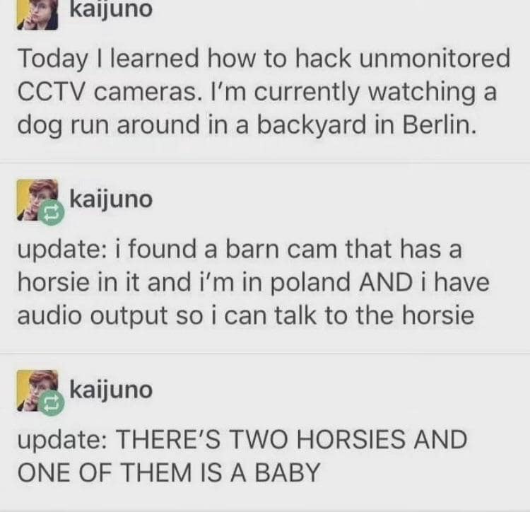 A wholesome and funny Tumblr thread of a user who is hacking into random, unmonitored CCTV cameras around the world and gets very excited when they find some horses.
