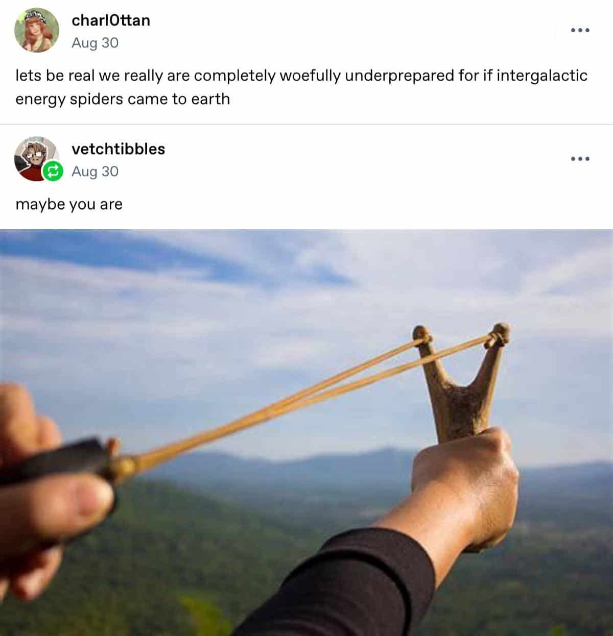 A hilarious Tumblr exchange where one user claims that we are not prepared to fight intergalactic energy spiders, and another user confidently replies, "maybe you are," with a picture of a slingshot.