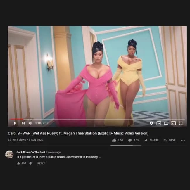 A brilliantly sarcastic YouTube comment on the very explicit music video for the song "WAP," in which the user wonders if there is a "subtle sexual undercurrent" to the song.