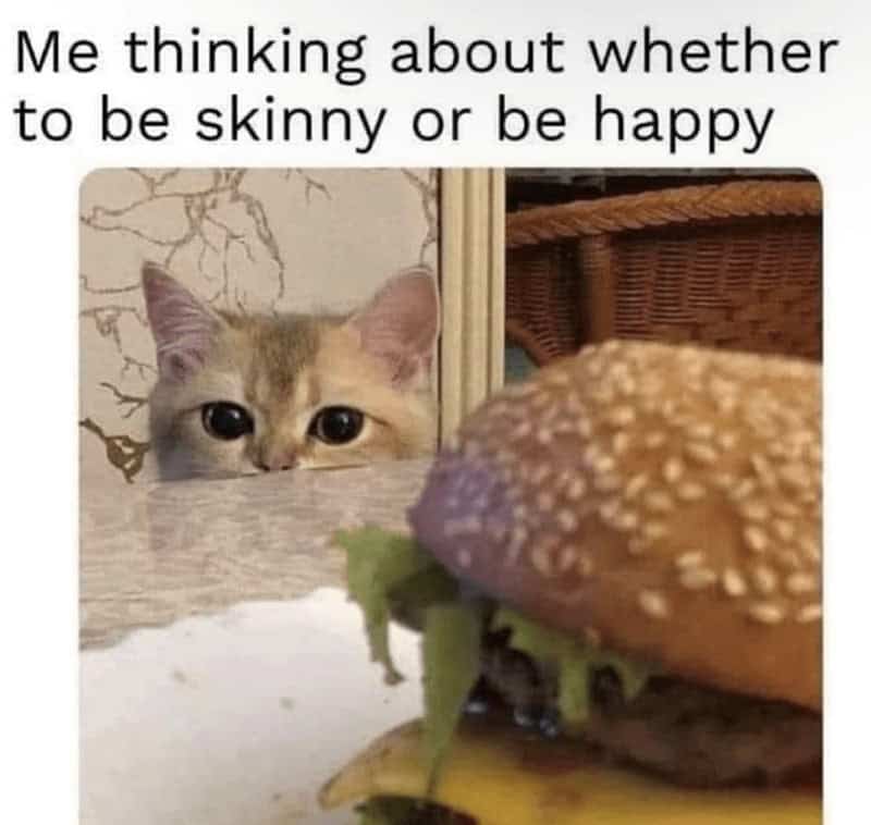 A funny food meme of a cat staring at a burger, debating being skinny or happy.
