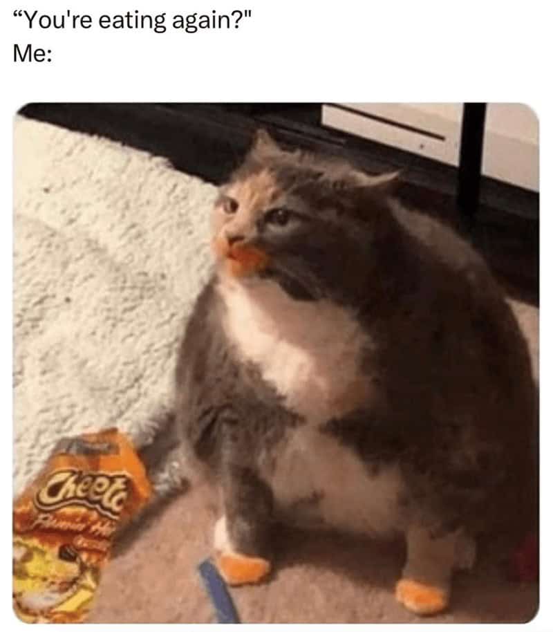 A funny food meme of a chubby cat with Cheeto dust on its face being judged for eating again.