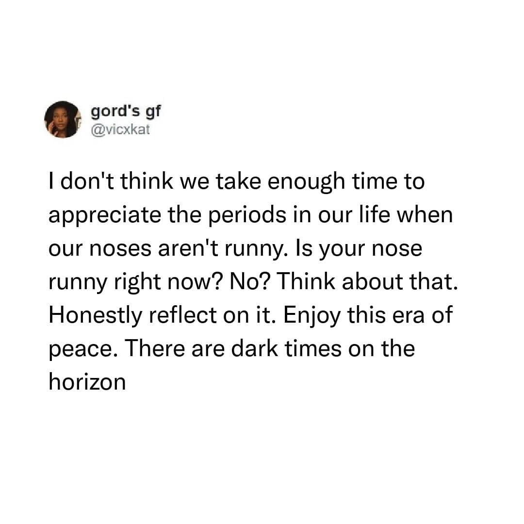 A funny and relatable tweet about appreciating the brief and glorious moments in life when your nose isn't runny.