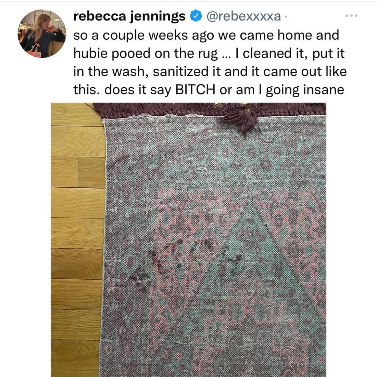 A funny meme of a dog poop stain on a rug that, after being cleaned, looks like it spells out a curse word.