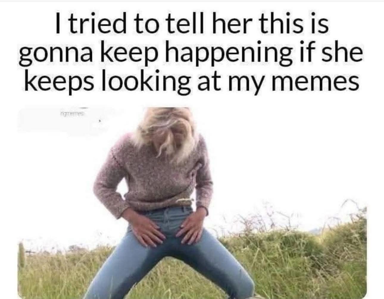 A funny meme warning people that your personal collection of memes is so funny it will make them pee their pants.