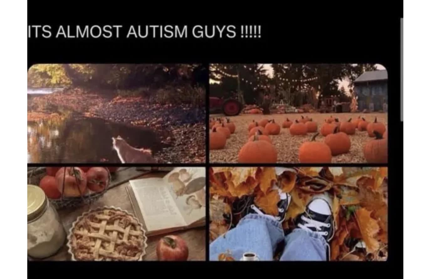 35 Programming Memes That Will Incite the Coders