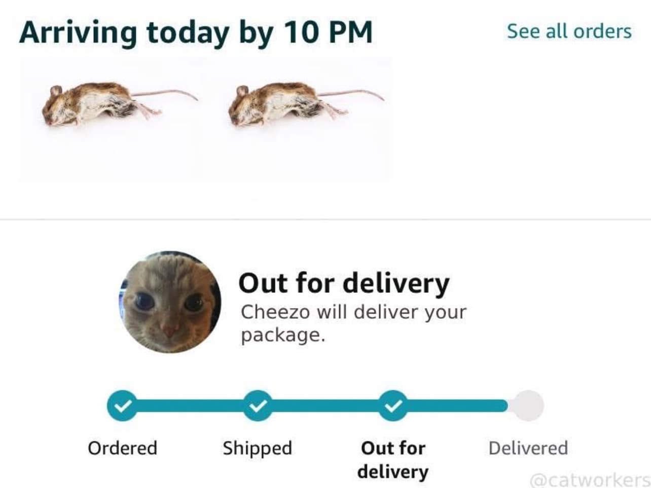 A funny cat meme of a fake Amazon order tracking screen showing a cat delivering two dead mice.