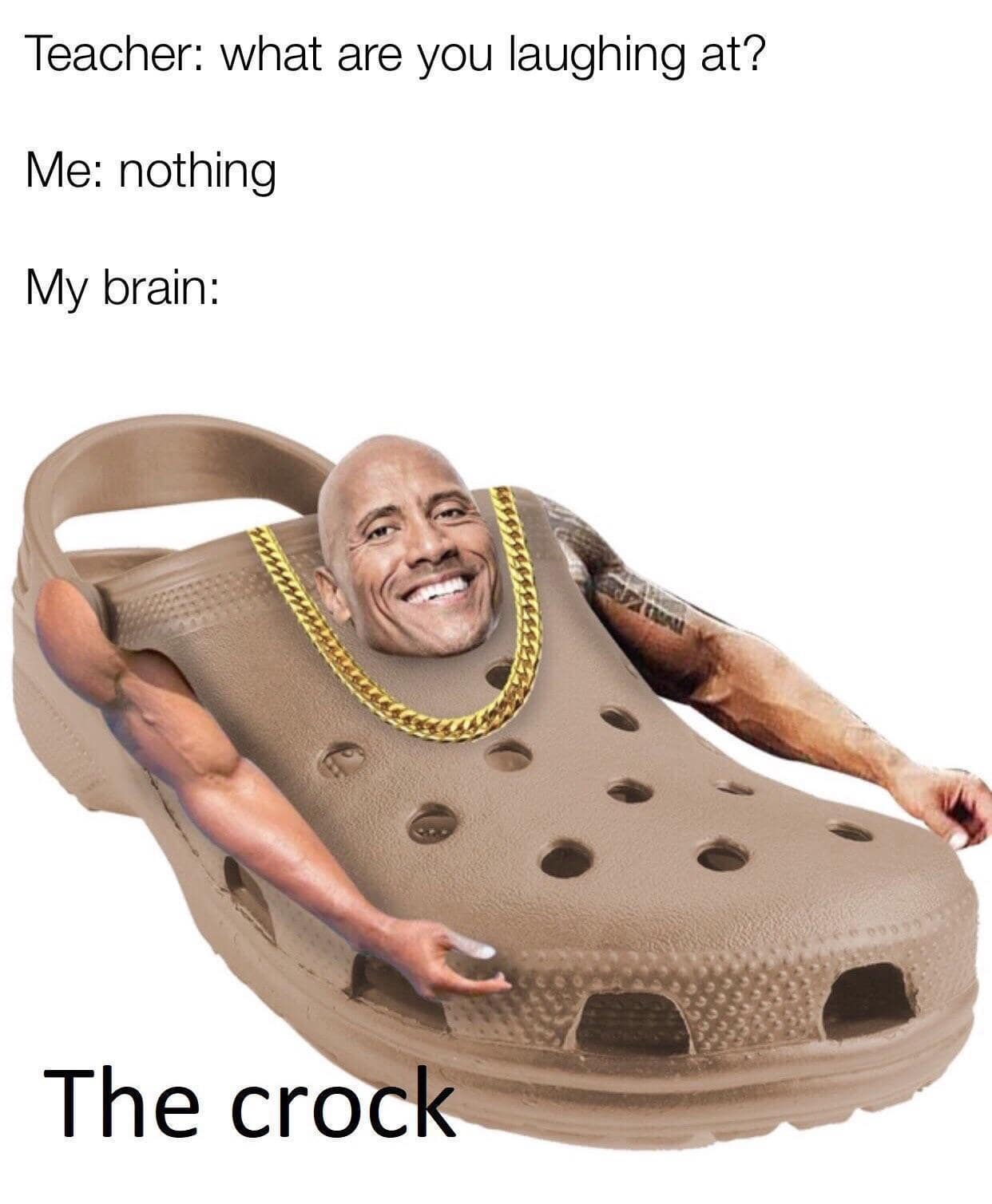 A funny meme showing Dwayne "The Rock" Johnson's head on a Croc shoe, called "The crock."
