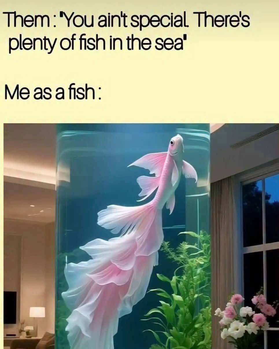 A funny self-confidence meme of a beautiful, unique, and graceful pink fish in response to the cliché "plenty of fish in the sea."