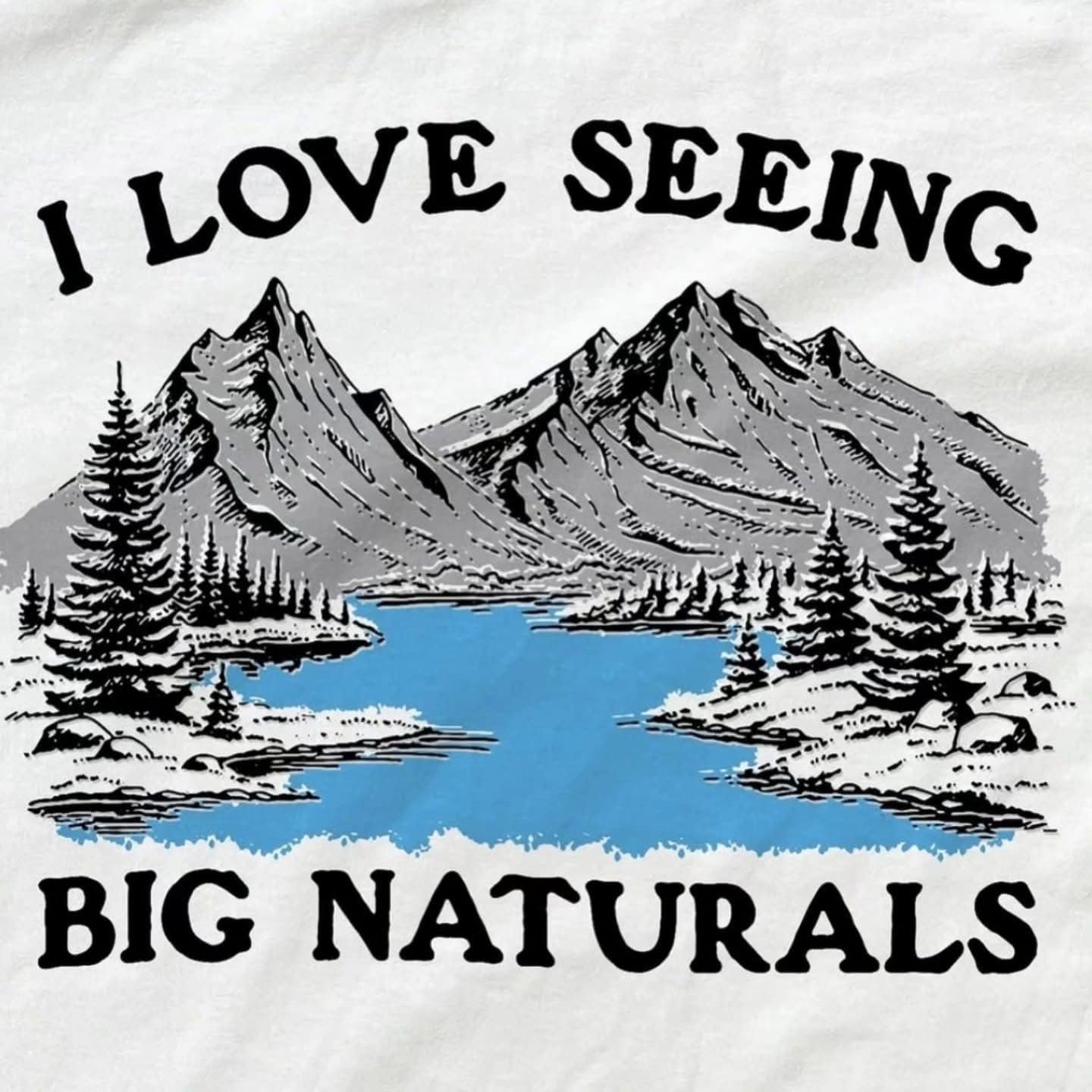 A funny graphic of a scenic mountain lake with the cheeky double-entendre text "I Love Seeing Big Naturals."