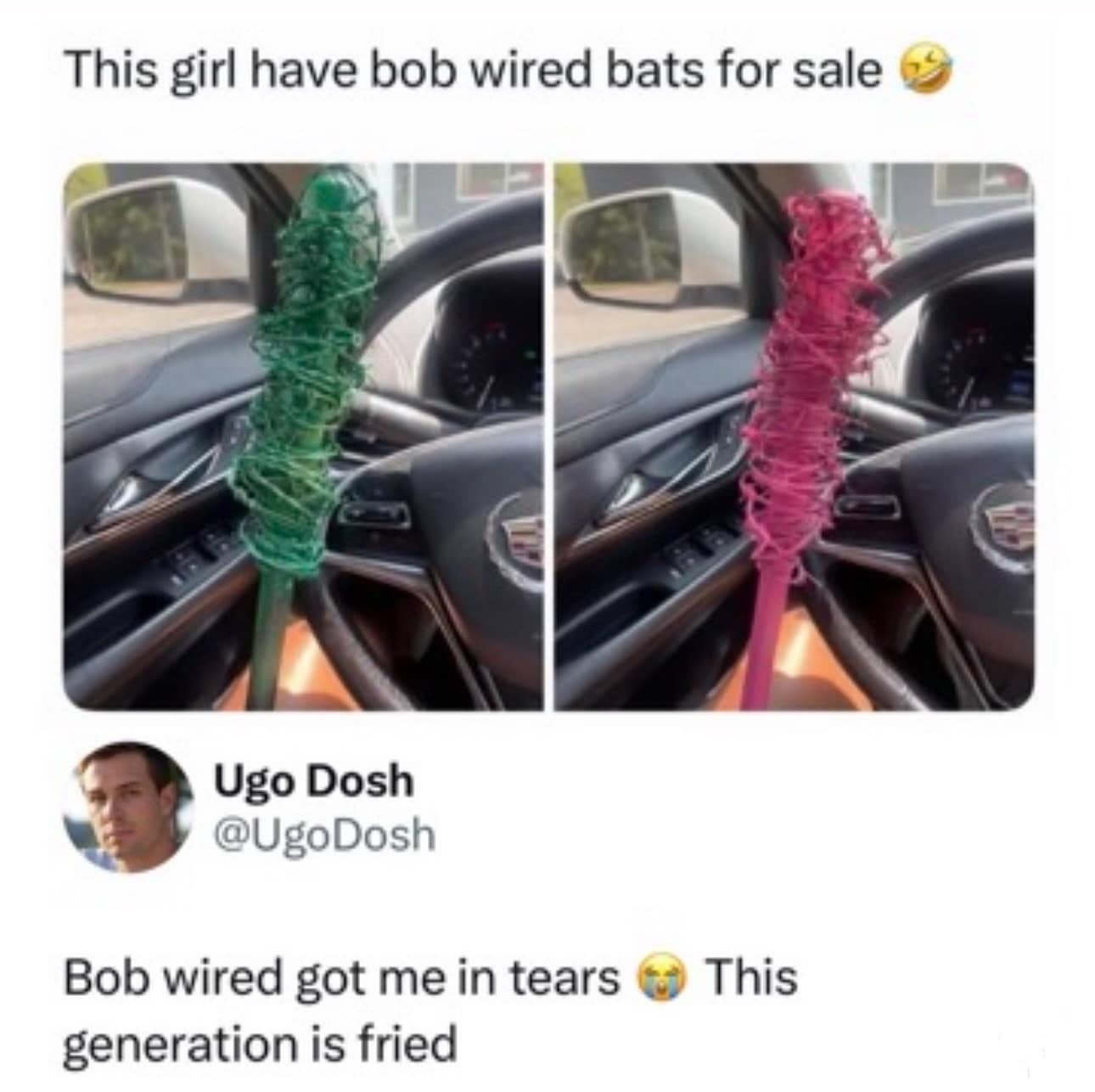 A funny meme about someone selling "bob wired bats" and the internet roasting the hilarious spelling error.