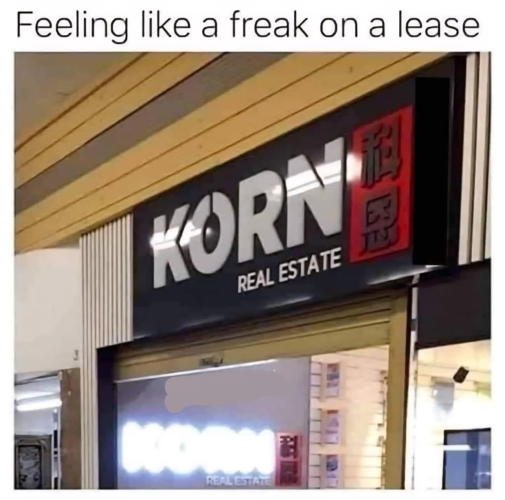 A photo of a real estate office with the sign "KORN REAL ESTATE," which is accompanied by a caption that makes a perfect pun on the famous Korn song "Freak on a Leash."