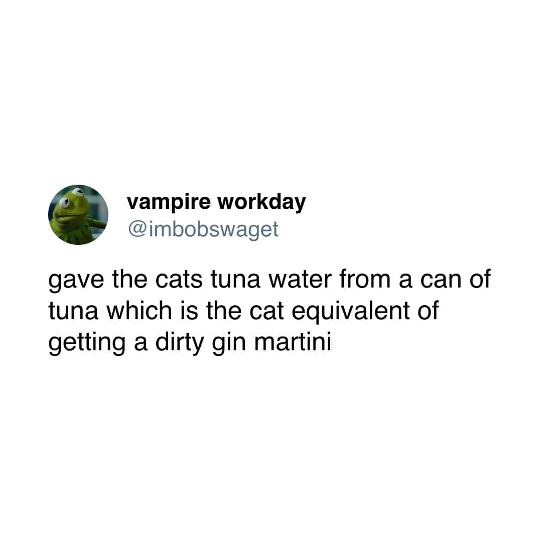 A funny and perfect tweet that compares giving a cat the leftover water from a can of tuna to giving a person a fancy dirty gin martini.