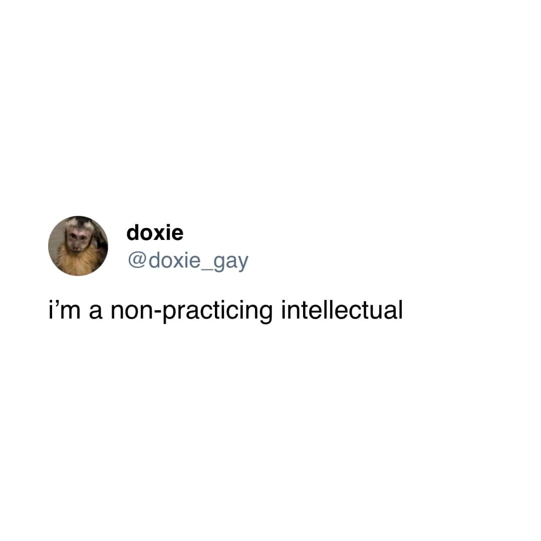 A short and very funny tweet from a user who is brilliantly and self-deprecatingly describing themselves as a "non-practicing intellectual."