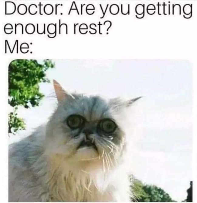 A funny sleep meme using a picture of a frazzled and terrified-looking cat to answer if you're getting enough rest.