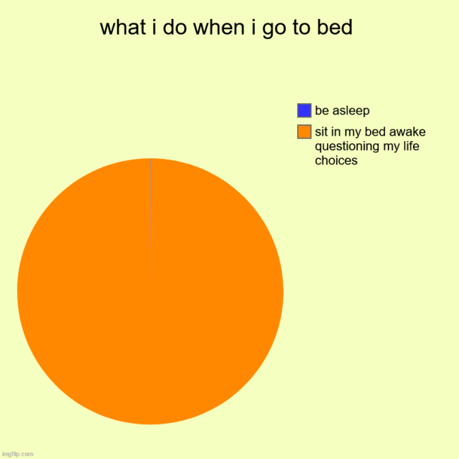 A funny pie chart meme showing that bedtime is mostly for sitting awake and questioning your life choices.