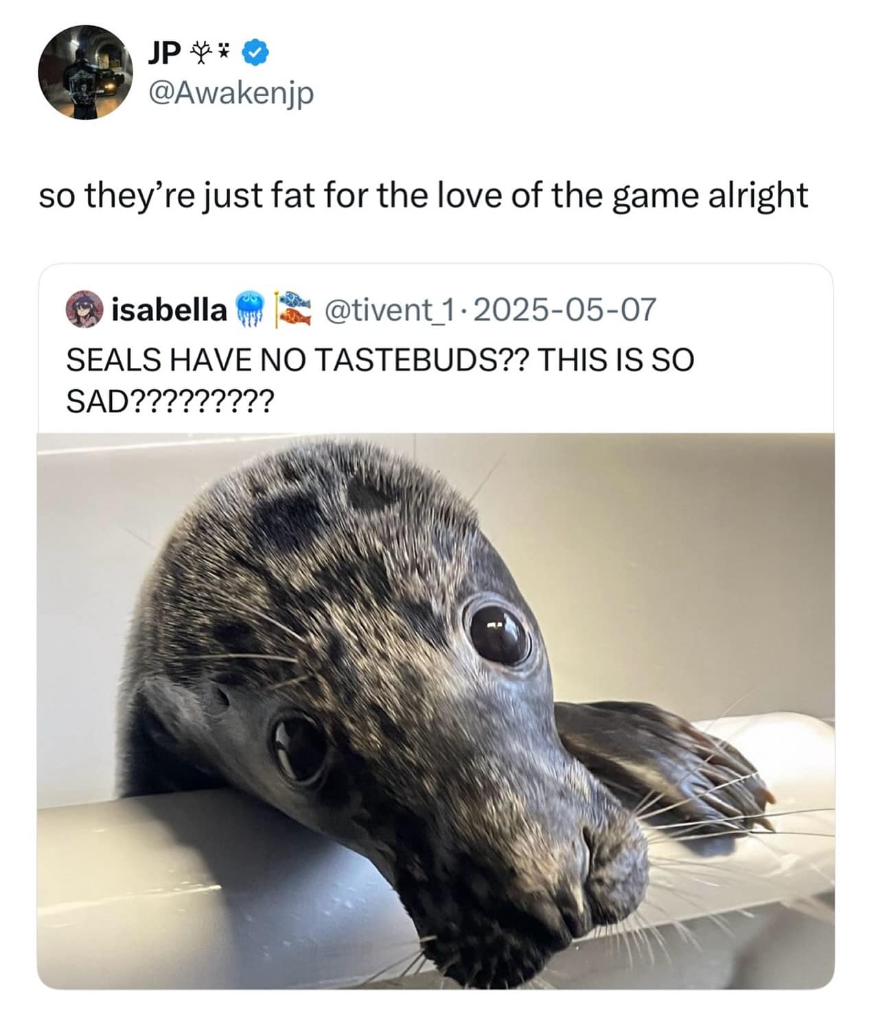 A meme dump tweet joking that since seals have no tastebuds, they are just "fat for the love of the game."
