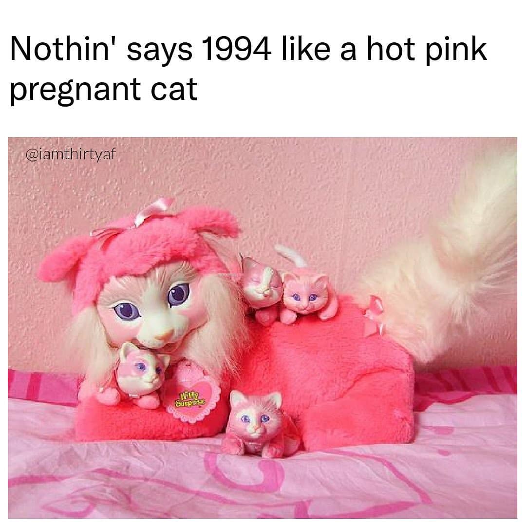 hot-pink plush pregnant cat toy with several tiny kittens; caption says nothing says 1994 like this.