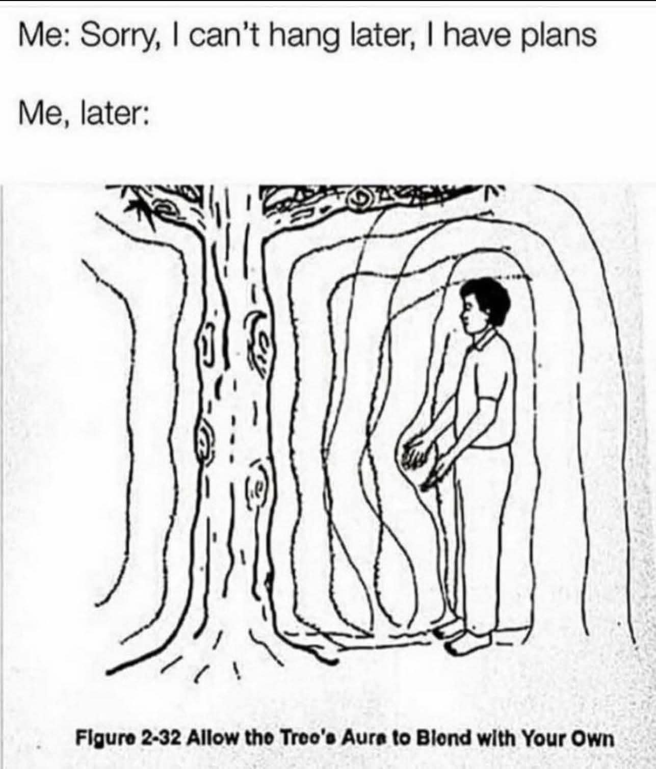 A funny meme dump for introverts about canceling plans to blend auras with a tree.