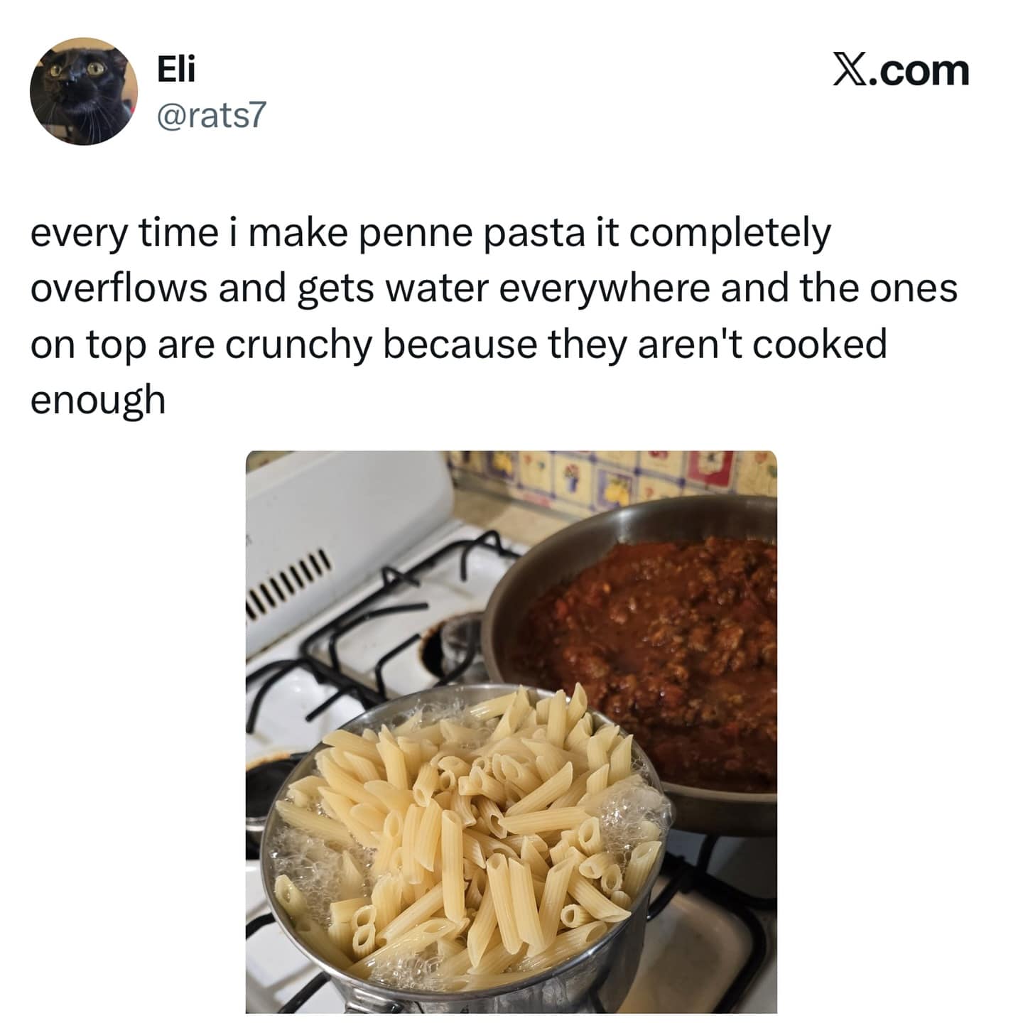 A meme dump of a tweet complaining about the specific problems of cooking penne pasta.