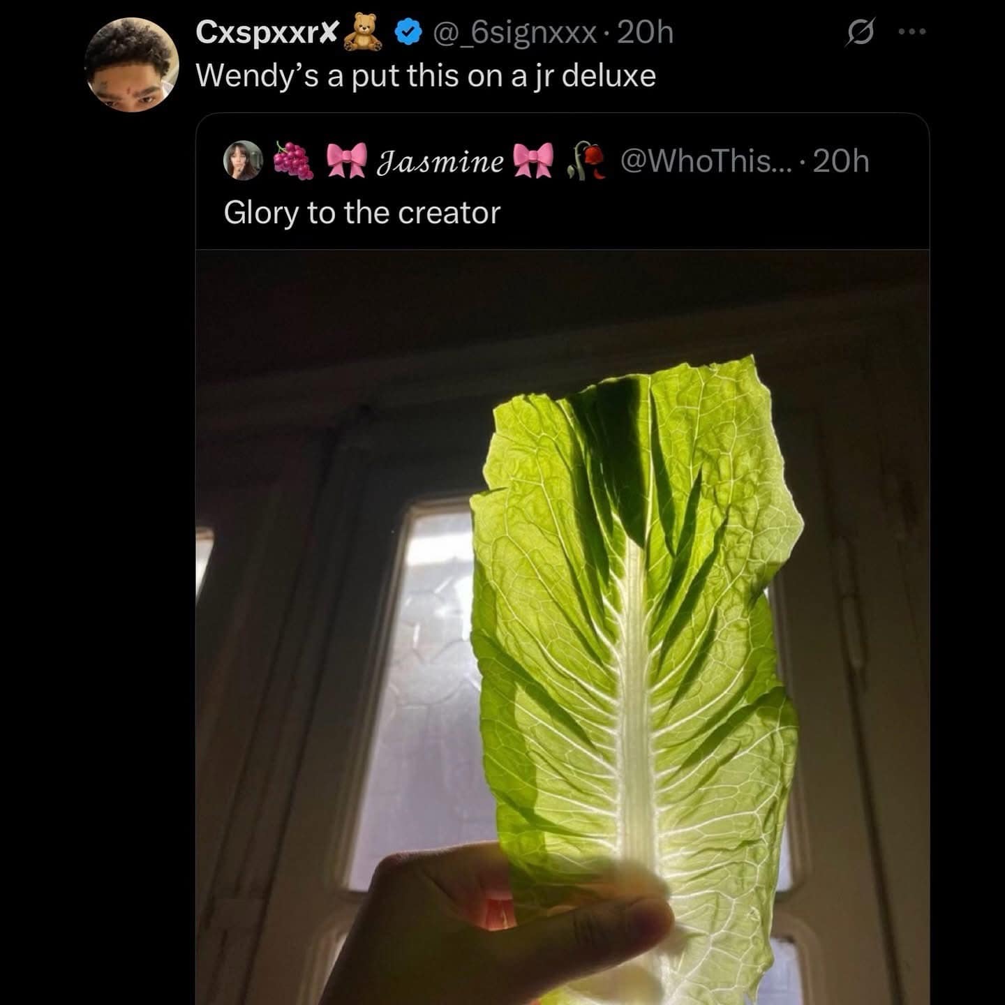 A funny meme that starts with a majestic photo of a piece of lettuce and ends with someone saying Wendy's would use it on a junior deluxe.