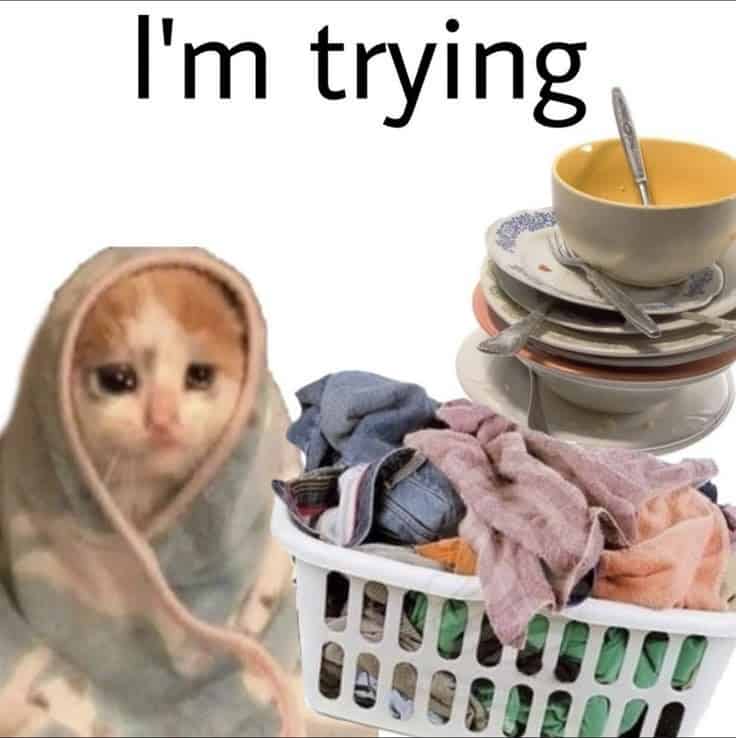 Sad kitten wrapped in a blanket beside a stack of dirty dishes and an overflowing laundry basket; headline reads “I’m trying.”