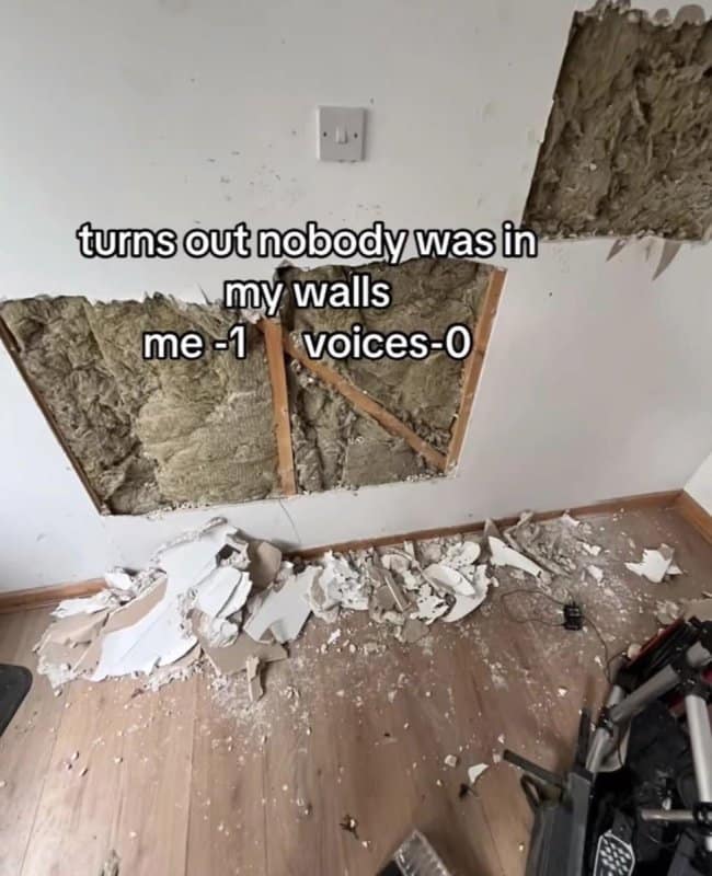 A dark humor meme showing a destroyed drywall with a caption about the user checking to see if the voices they were hearing in the walls were actually real.