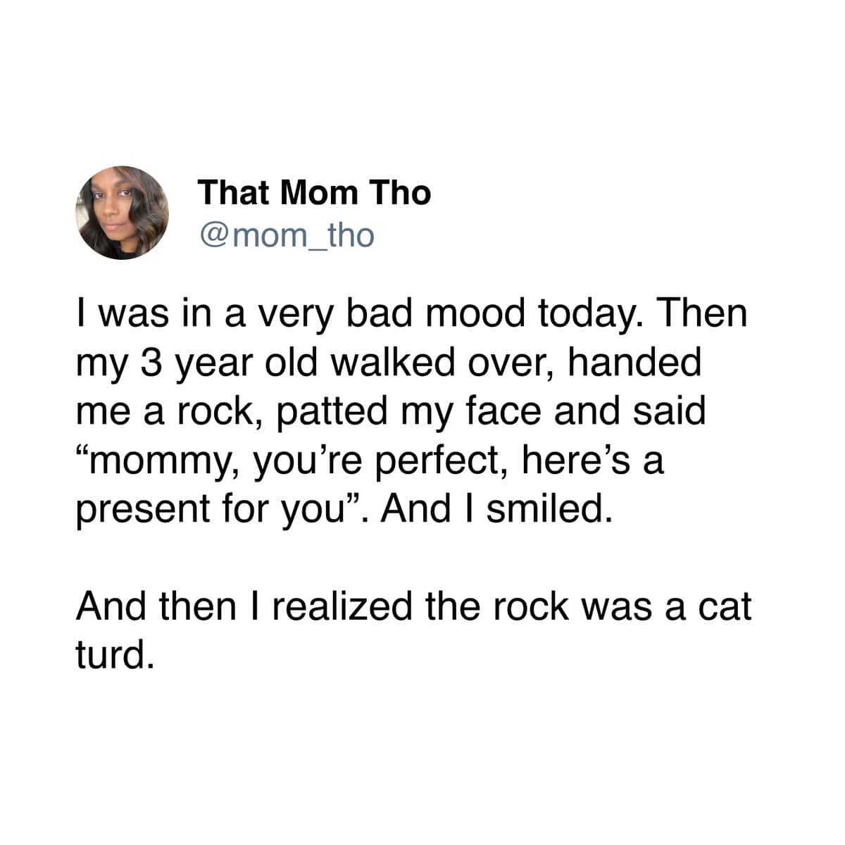 A parenting meme that starts sweet with a 3-year-old giving a gift but ends with the rock being a cat turd.
