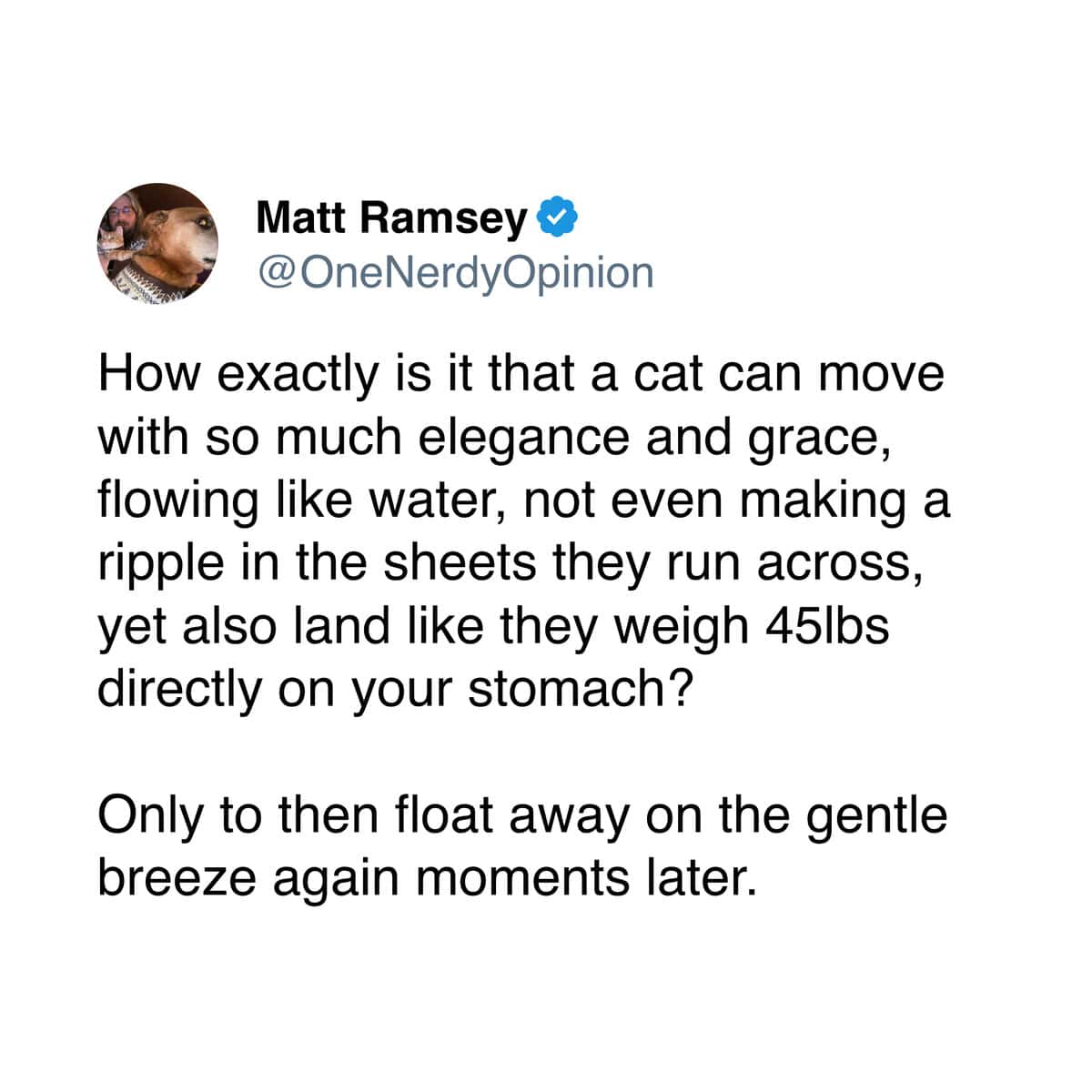 A pet meme tweet questioning the physics of how a cat can be both light on its feet and extremely heavy.